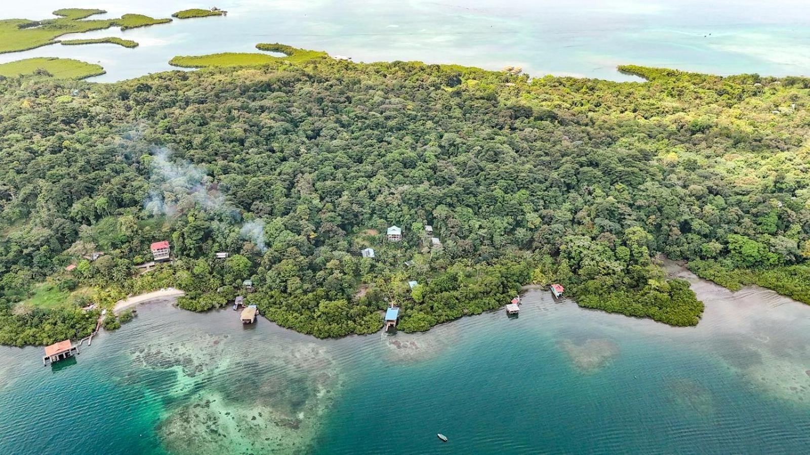 Roam Yoga & Wellness Lodge Bocas Town Bagian luar foto