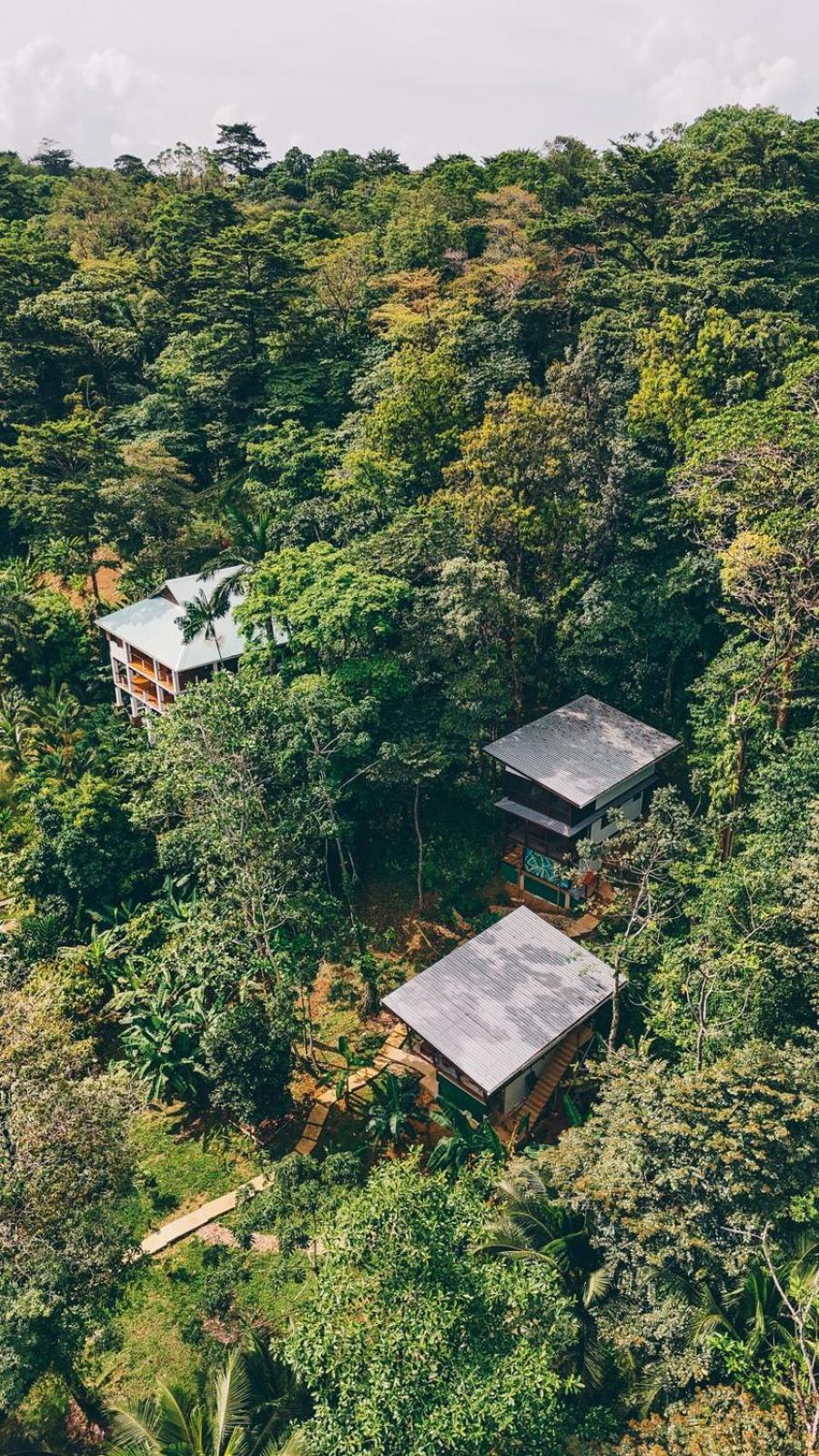Roam Yoga & Wellness Lodge Bocas Town Bagian luar foto